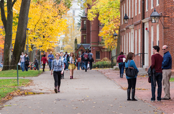 网页免费发手机号